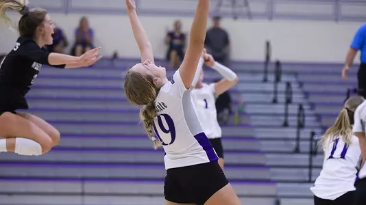 Ashlyn Power