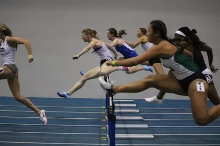 Sorensen Hurdle