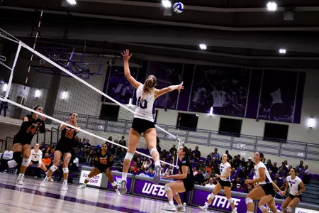 WVB