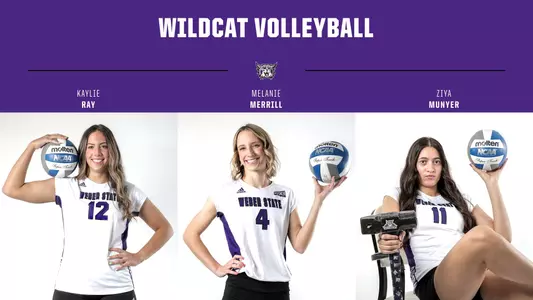 Weber State Volleyball