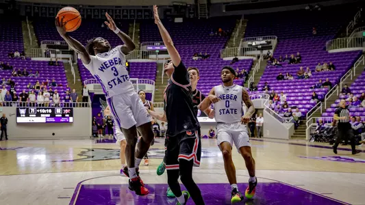 Tijan Saine 2025 vs. Campbell