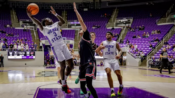 Tijan Saine 2025 vs. Campbell