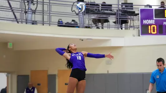 VB Action Shot
