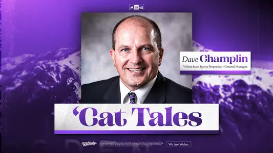 'Cat Tales podcast - Dave Champlin 2026