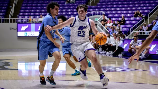 Dylan Warlick 2026 exhibition