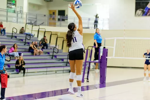 VB Loss to NAU