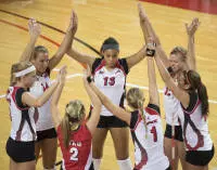 Follow WKU Volleyball at the NCAA Tournament Image