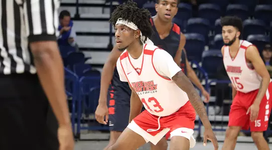 Taveion Hollingsworth - Samford game