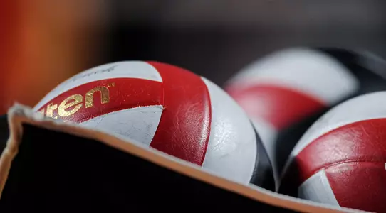 generic volleyballs