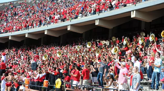 Football stadium crowd fans