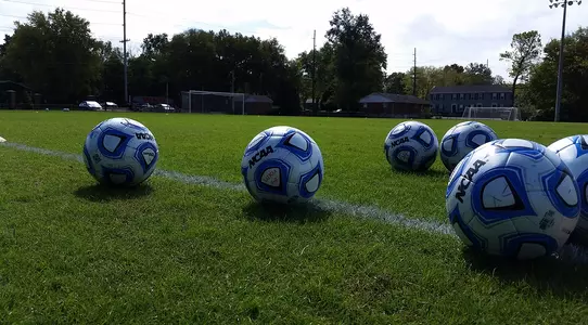 soccer balls field grass generic