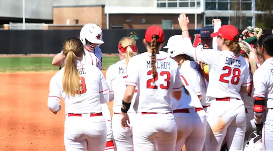 Home run celebration team