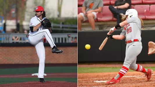 Baseball softball combined pic 2020