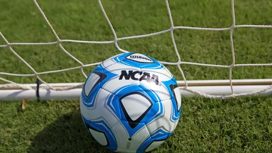 Soccer Ball