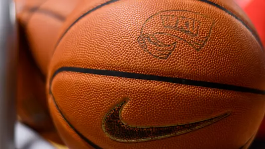 Basketball Detail Shot