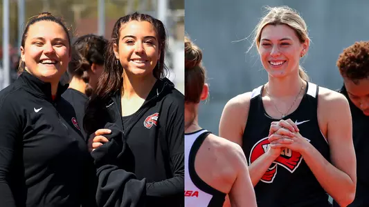 Basic, Isenbarger, Safont Falomir