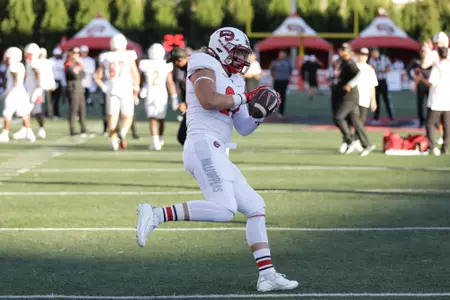 Tight end Dane Saltarelli (81) of the WKU Hilltoppers at Houchens Industries - L.T. Smith Stadium on October 1, 2022 in Bowling Green, KY. Photo by Gunnar Word/WKU Athletics