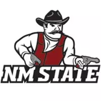 New Mexico State Logo