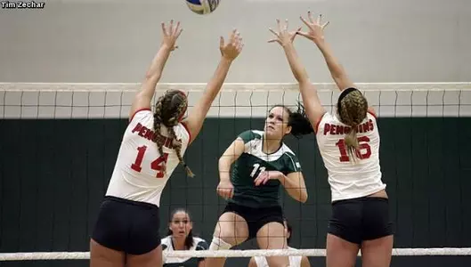 Volleyball Falls to Central Michigan