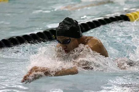 Swimming Falls to UIC