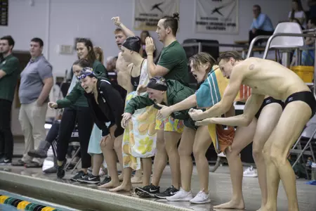 Swimming Heads to Cleveland State Image