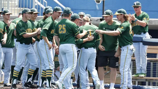 Baseball Falls in HL Championship to UIC