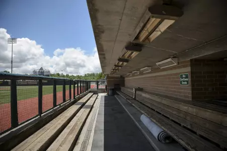 Nish baseball dugouts