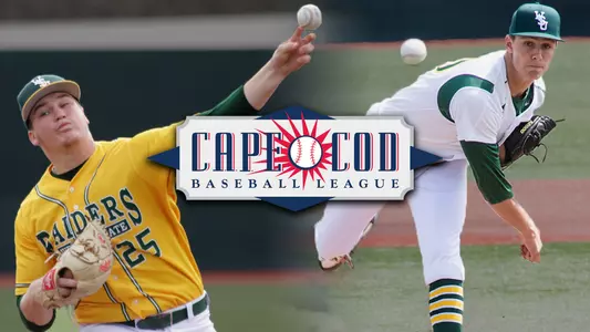 collins and weiss cape cod