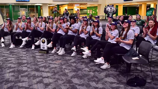 VB Selection Reaction (2025)