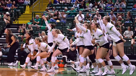 Bench Celebration (Pitt)