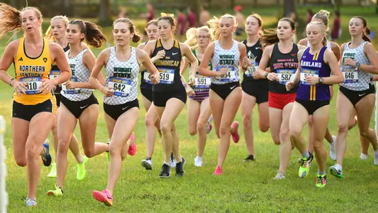 WXC Group (Mike Baumer)