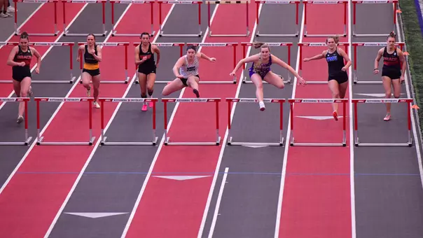 Molly Spiker (Steemer Showcase 26)