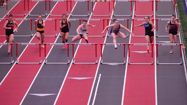 Molly Spiker (Steemer Showcase 26)