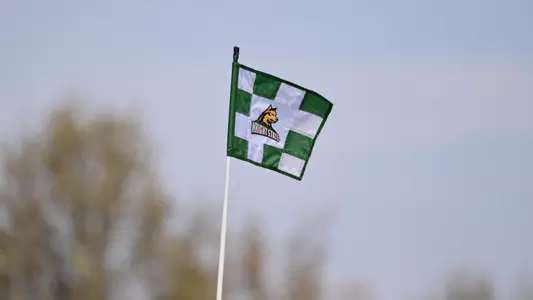 Golf Flag (2025)