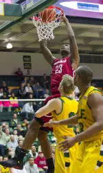 Cougars Advance in the CBI with Victory Over Dons