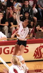 Volleyball Remains Undefeated in 10 Matches