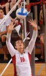 Cougars Win Utah Valley Volleyball Tournament