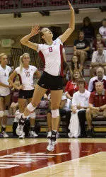 Volleyball Wins Nike Cougar Challenge Tournament