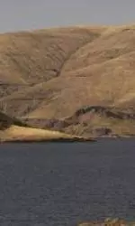 Cougar Varsity Four Victorious Over Huskies