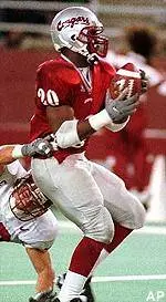 Cougars Rally But Fall Short