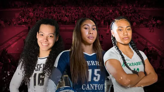 Volleyball 2017 Class