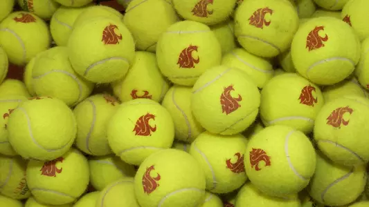 Logo Tennis Balls