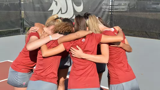 Play With a Cougar Cover