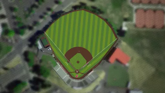 2017 Baseball New Turf