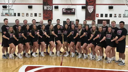 2018-19 Cheer Squad