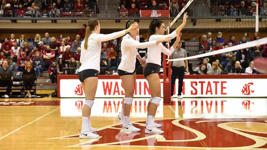 Timmer, Lusby, Magda - 2019