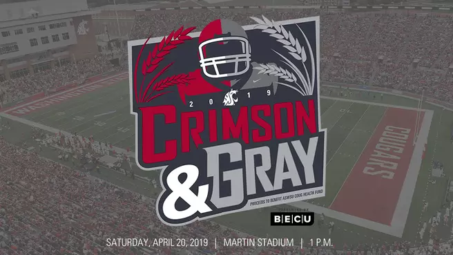 Crimson & Gray Game Information