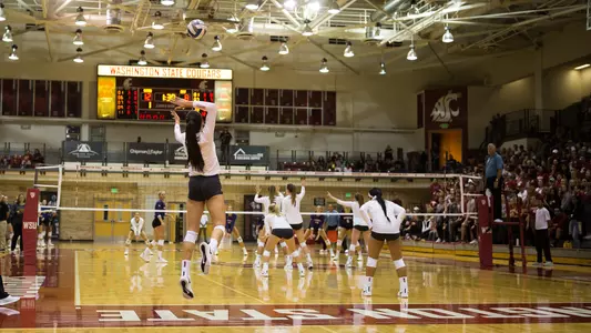 Jocelyn Urias Serving_2019