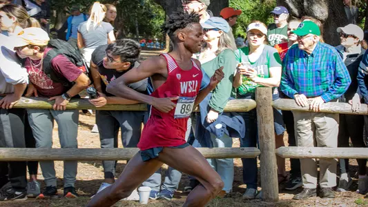 22xcAdoAmirNCAAChampionships