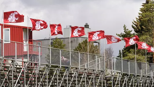 T&F Mooberry Flags